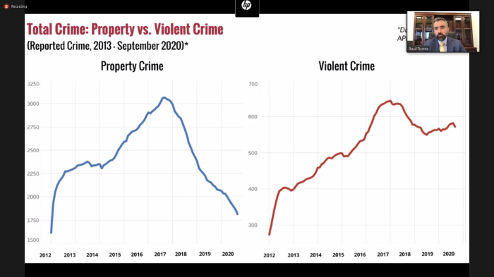 CrimeSTAT BRIEFING 2020: "The Tale of Two Cities"